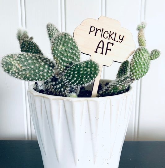 'Prickly AF' Plant Stake