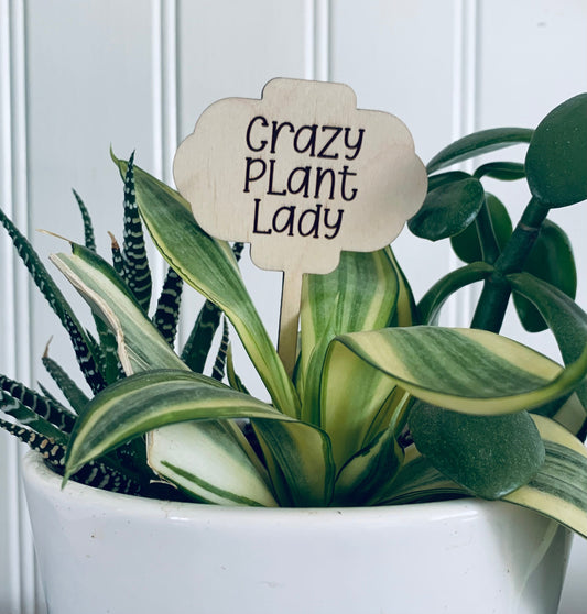 'Crazy Plant Lady' Plant Stake