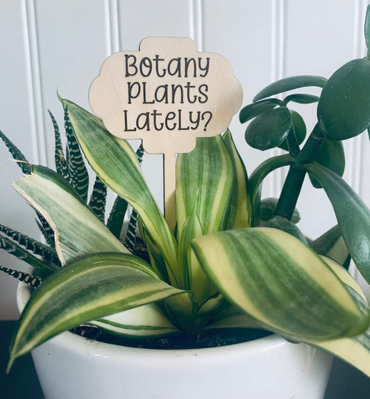 'Botany Plants Lately' Plant Stake