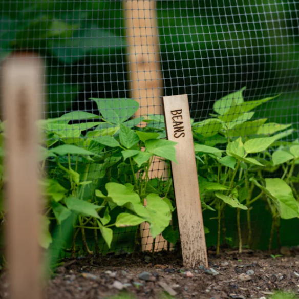 Basic Cedar Garden Stakes