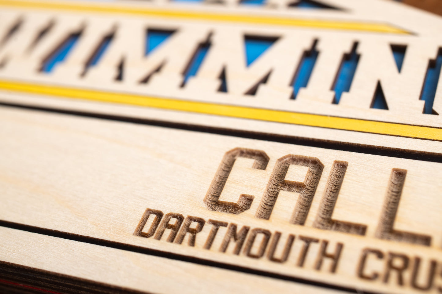 Sports Pennant - Swimming - Personalized with name, Colours & Club