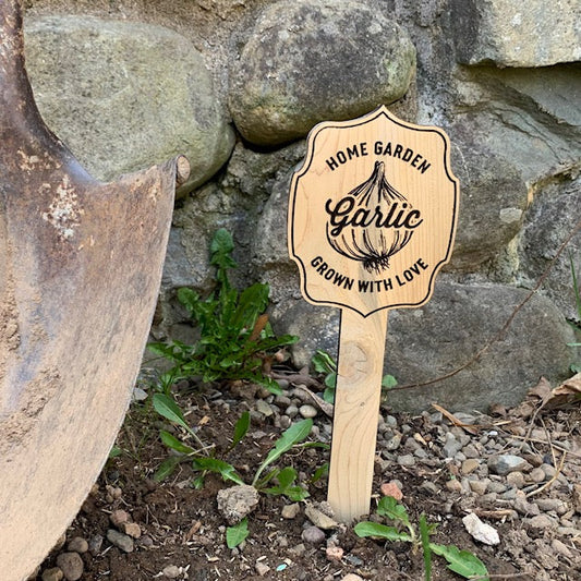 Premium Cedar Garden Stake - Garlic
