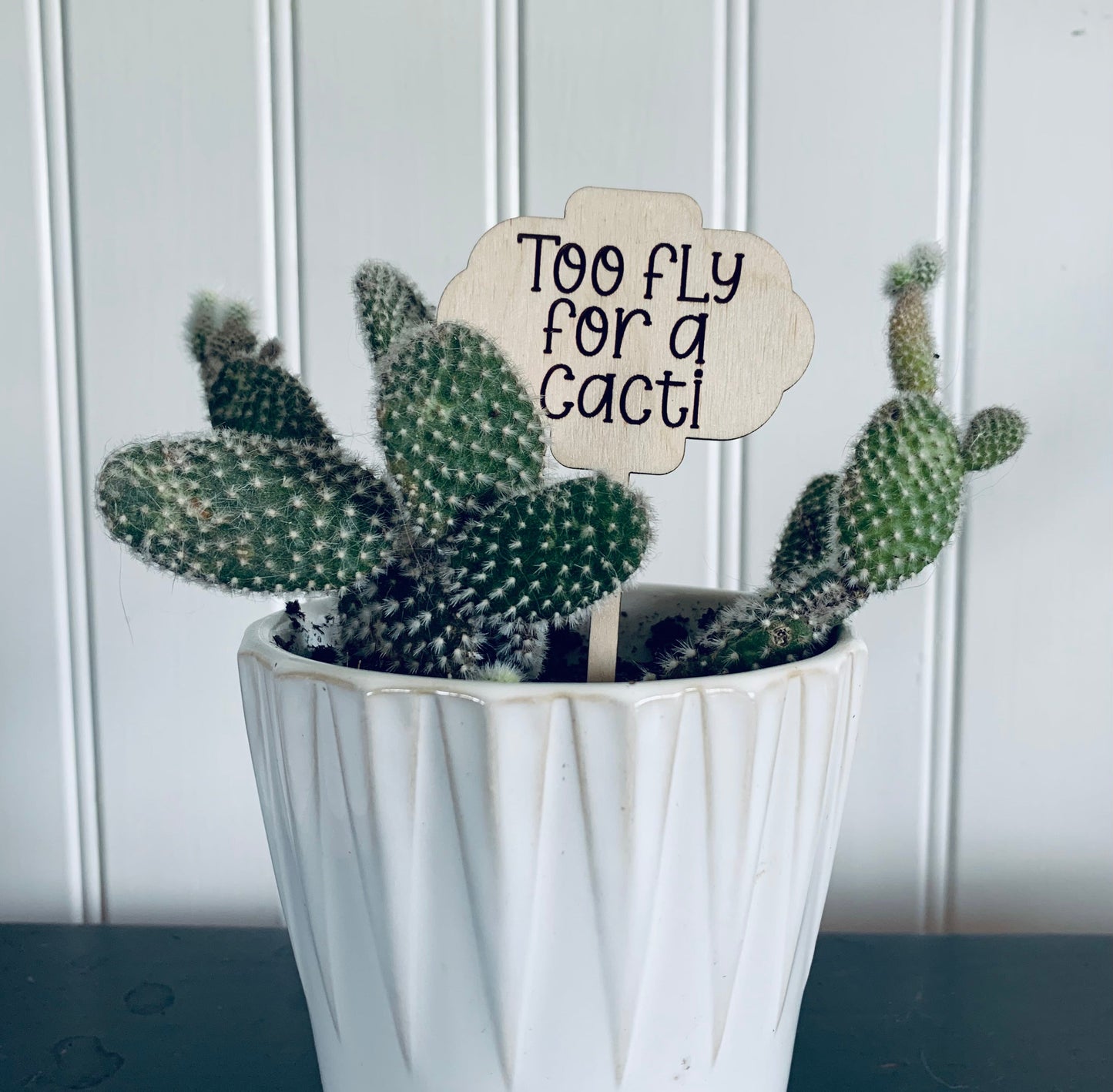 'Too fly for a cacti' Plant Stake