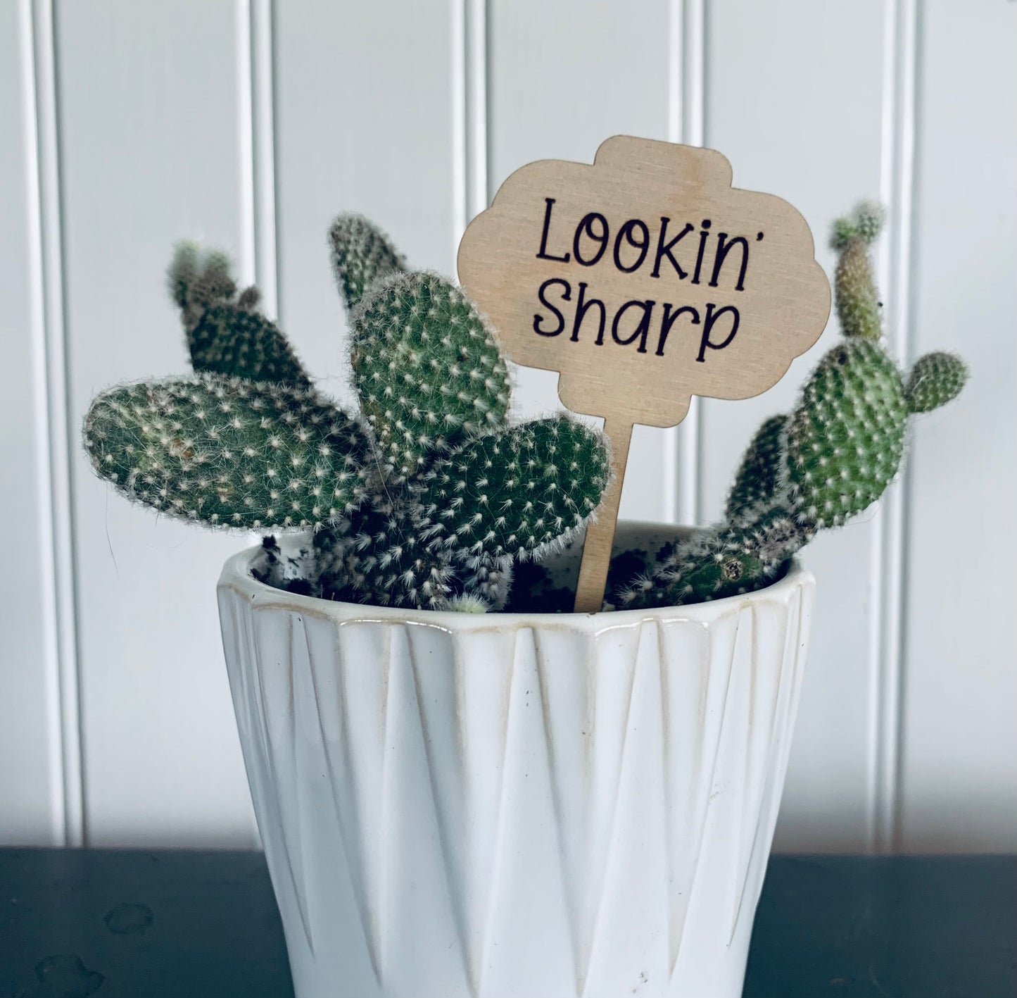 'Lookin' Sharp' Plant Stake