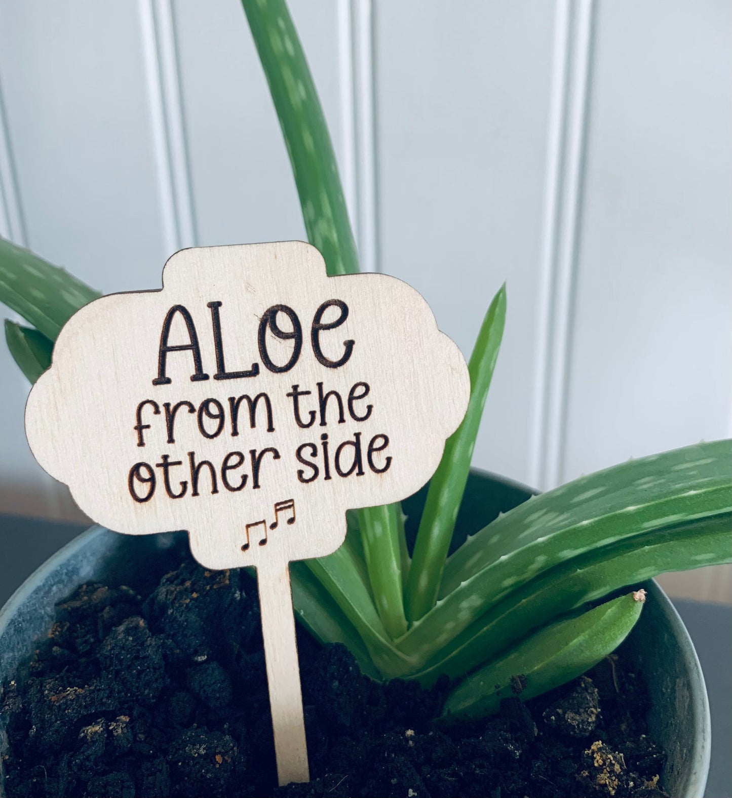 'Aloe from the other side' Plant Stake