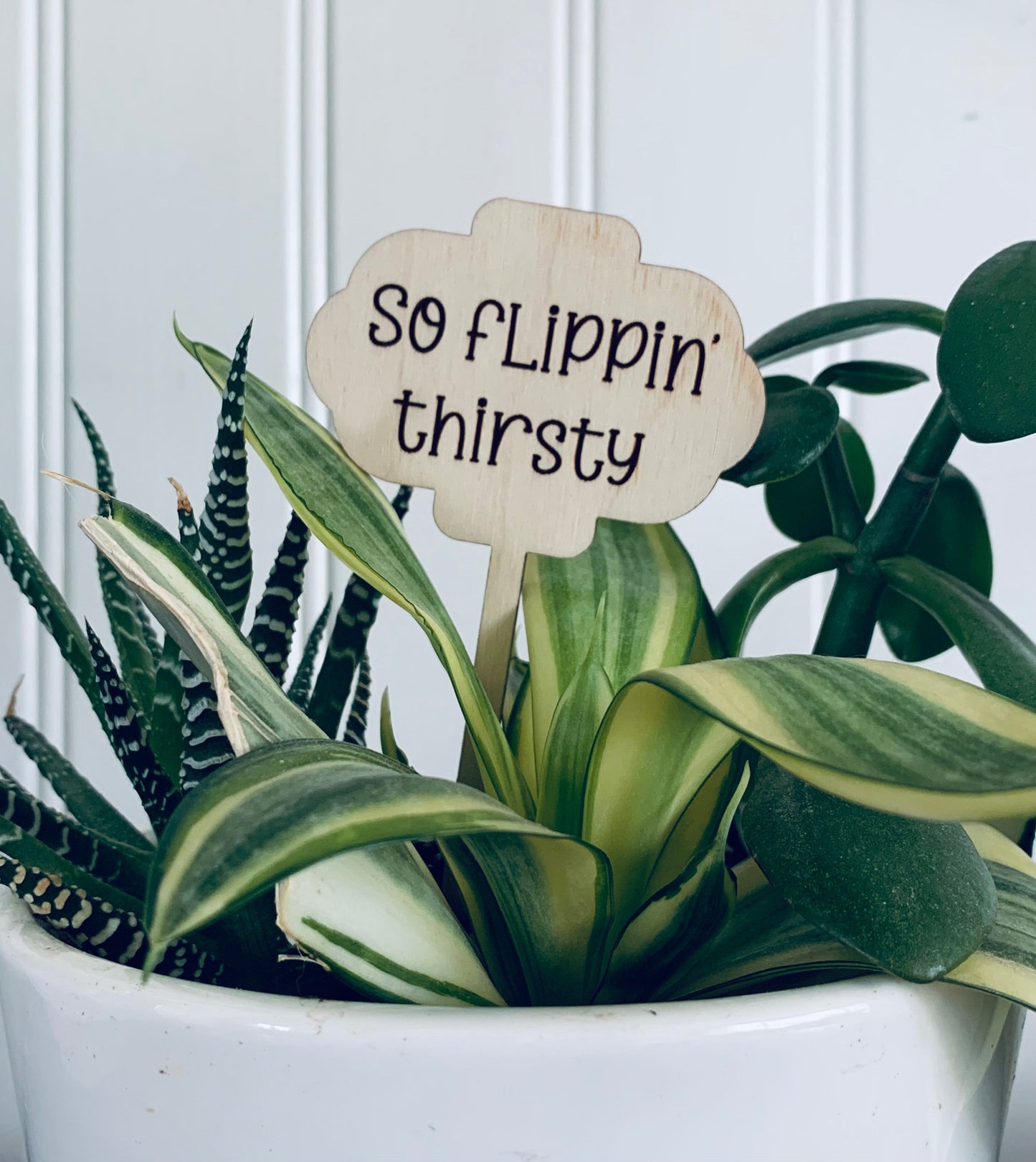 'So flippin thirsty' Plant Stake