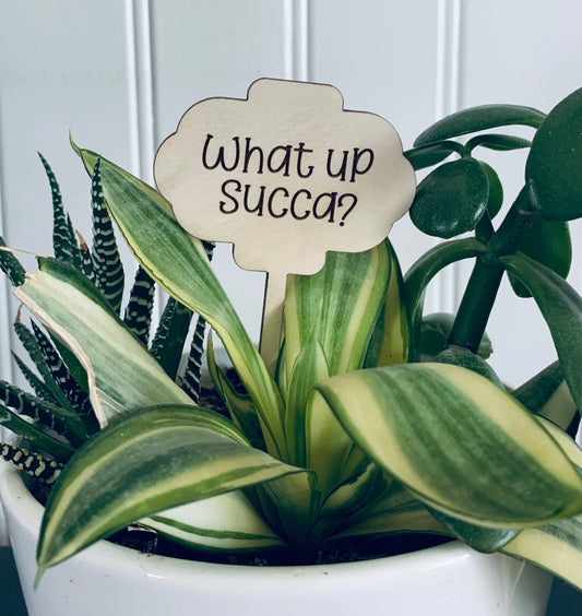 'What up Succa' Plant Stake